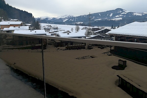 Edelstahl-Glas-Brüstung